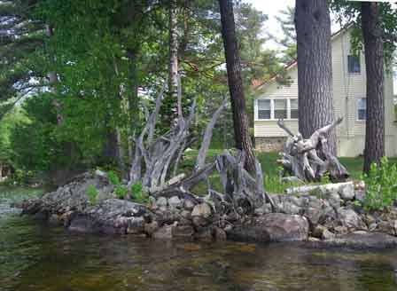 Driftwood Gathered At Bend In River