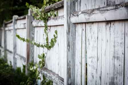 Peeling Paint - No Dry Rot Noted