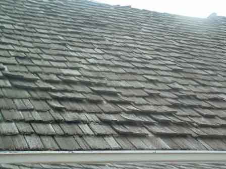 Curled Shingles