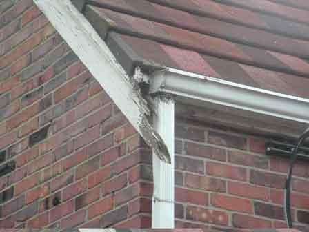 Fascia Dry Rot - Minor Condition